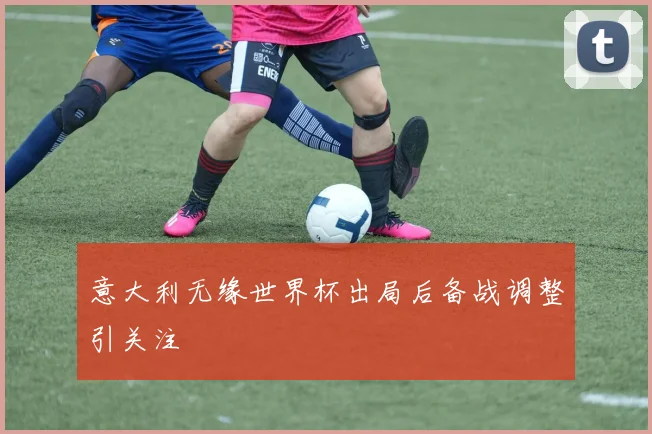 意大利无缘世界杯出局后备战调整引关注