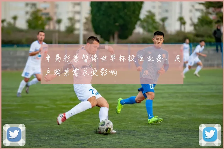 卓易彩票暂停世界杯投注业务,用户购票需求受影响